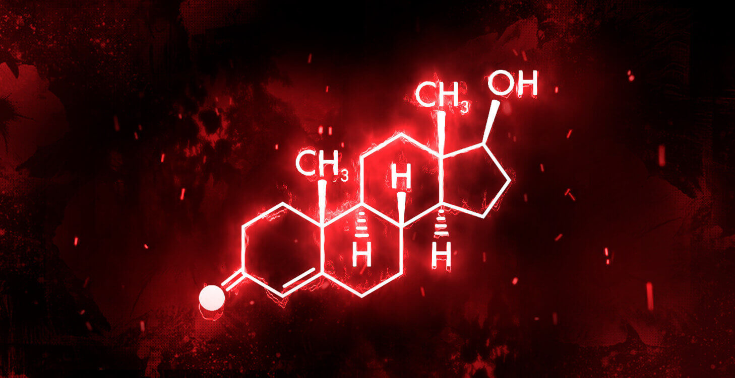  MÓDULO -<span style='color: #FF7100;'>TESTOSTERONA</span>